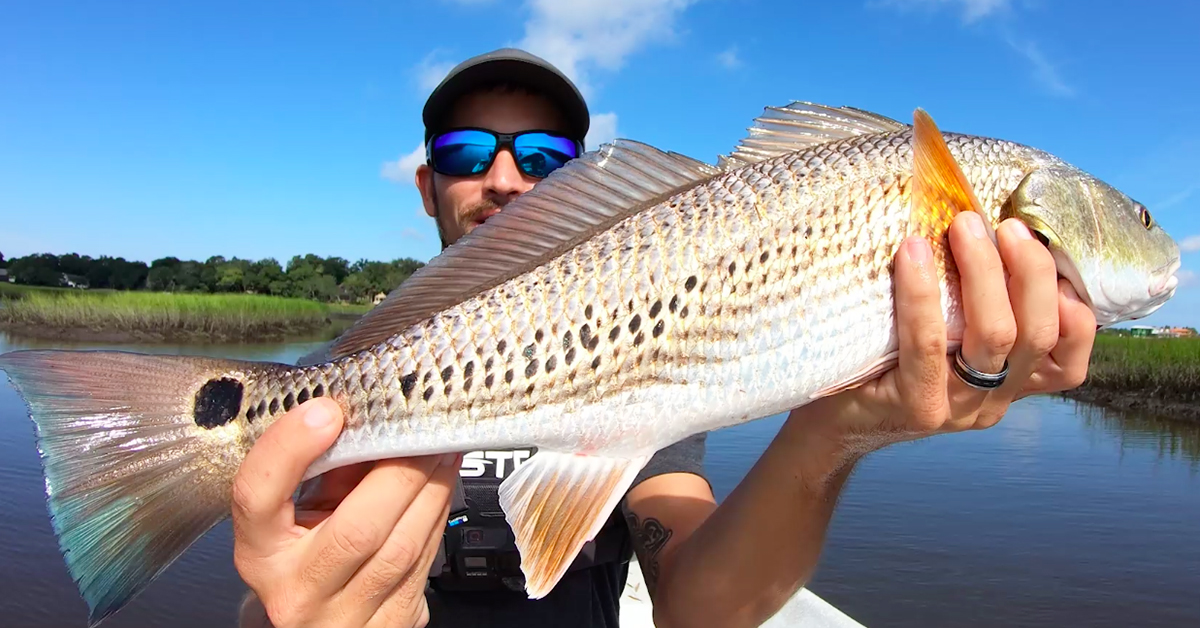 http://redfish%20on%20blue%20crab
