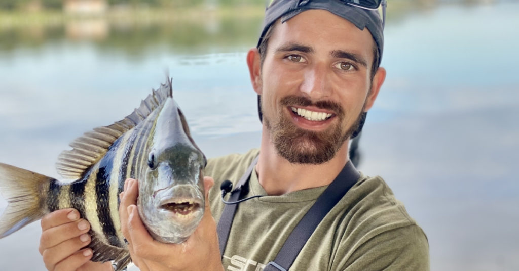 summertime sheepshead
