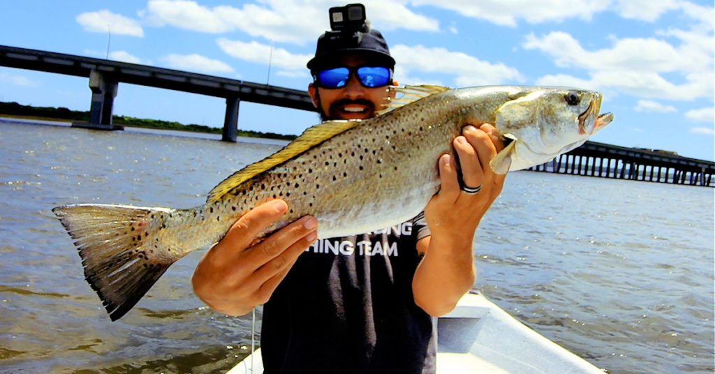 how to use a live shrimp under a bobber