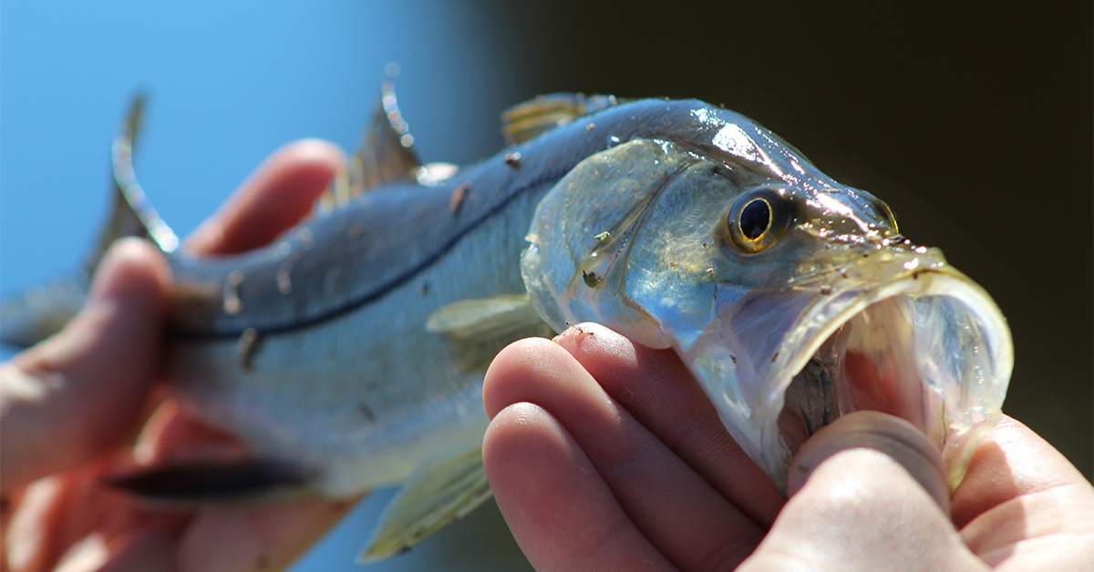 how fwc collects data