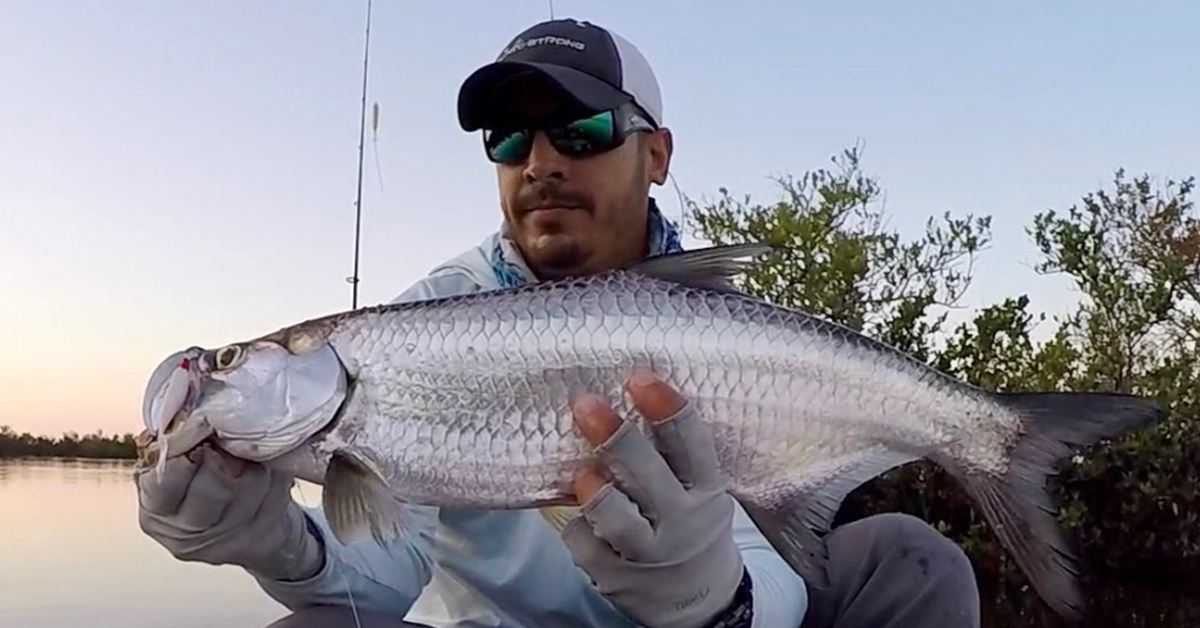 http://how%20to%20catch%20juvenile%20tarpon