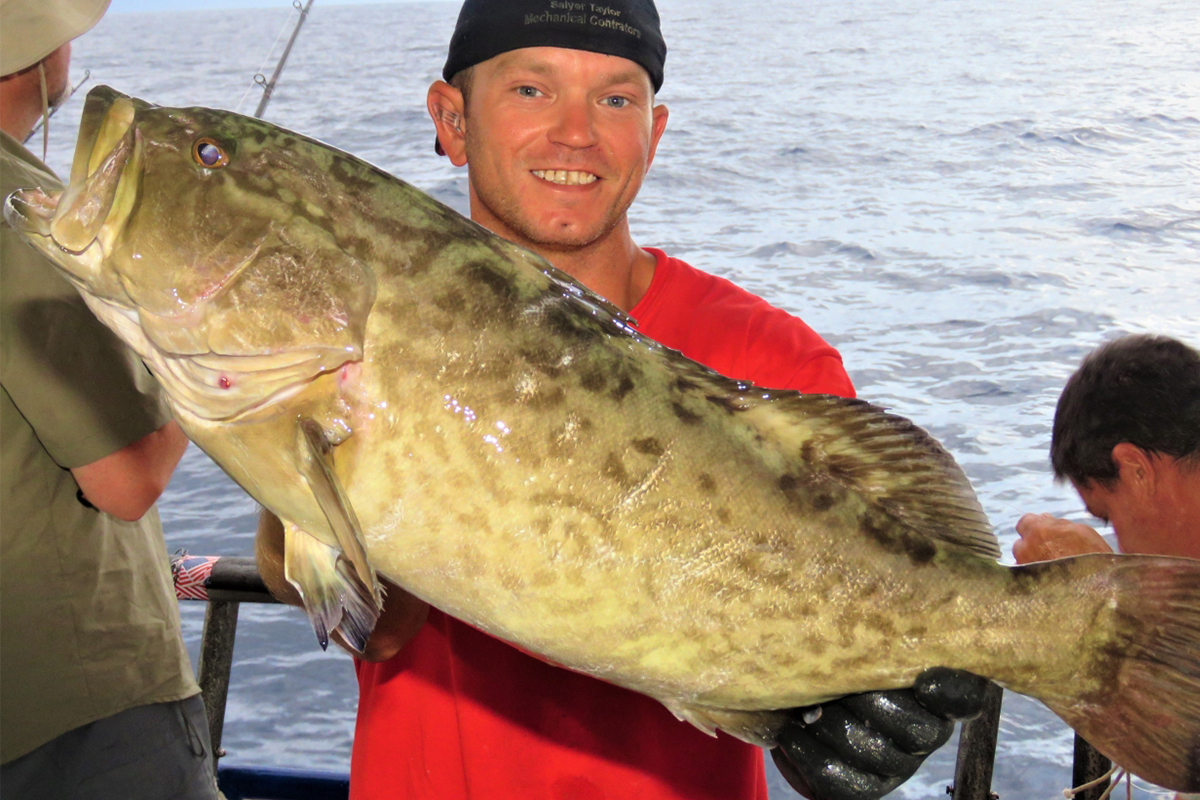 Alabama Artificial Reef Gag Grouper Catch