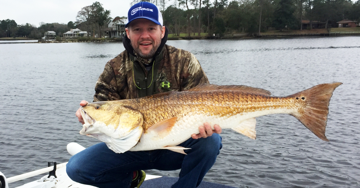 http://Redfish%20on%20Inshore%20Alabama%20Artificial%20Reef