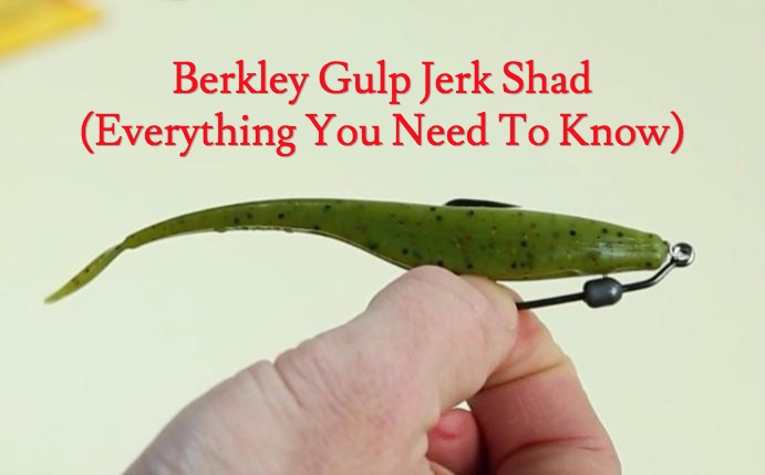 http://berkley%20gulp%20jerk%20shad%20review