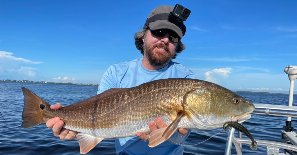 top lure color for redfish