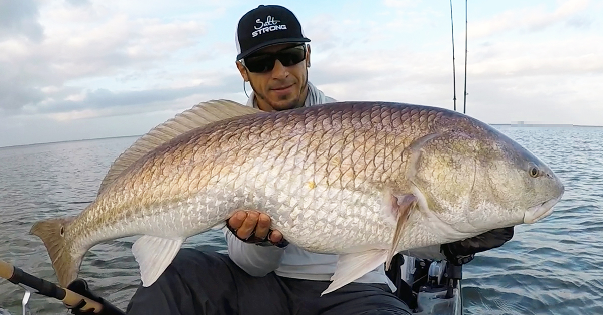 http://best%20cut%20bait%20rig