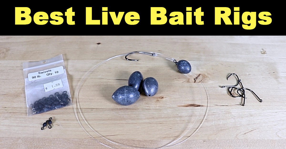http://best%20live%20bait%20rigs