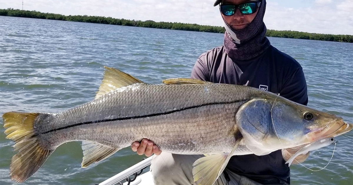 best saltwater fishing newsletter