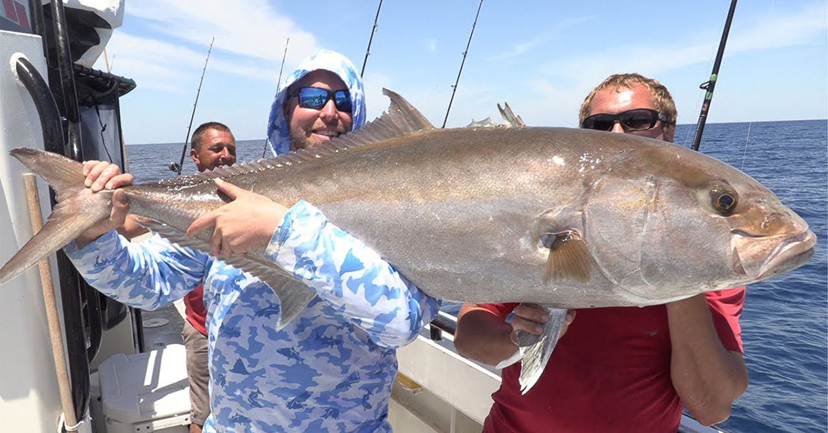 http://monster%20offshore%20amberjack%20fishing