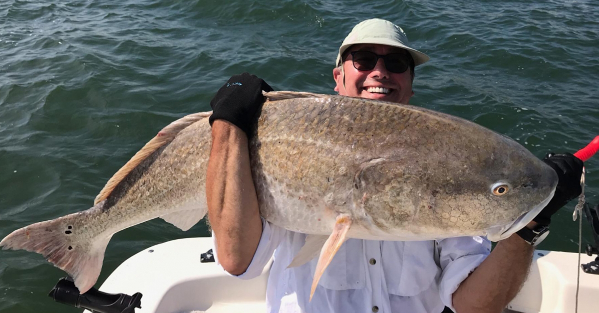 salt strong newsletter