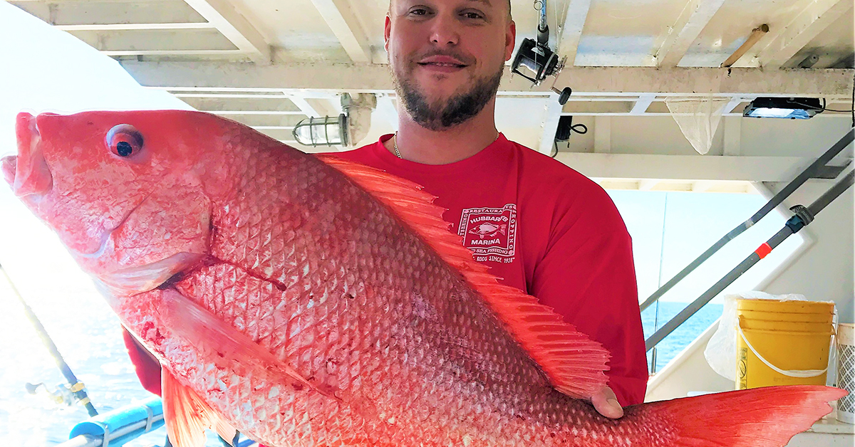 http://best%20red%20snapper%20bait%20for%20big%20snapper
