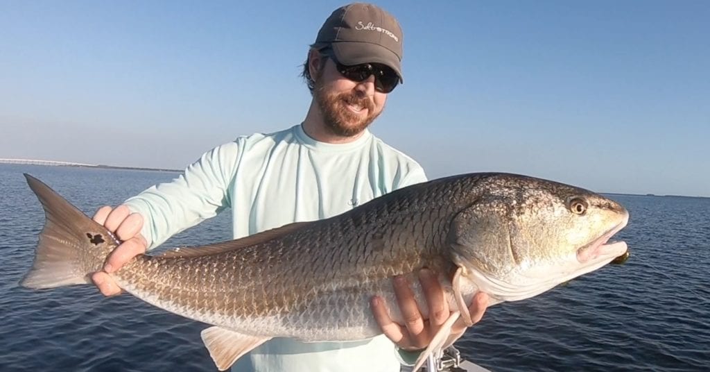 salt strong redfish
