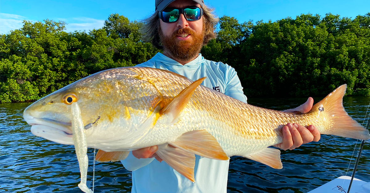 http://slam%20shady%20bomber%20redfish