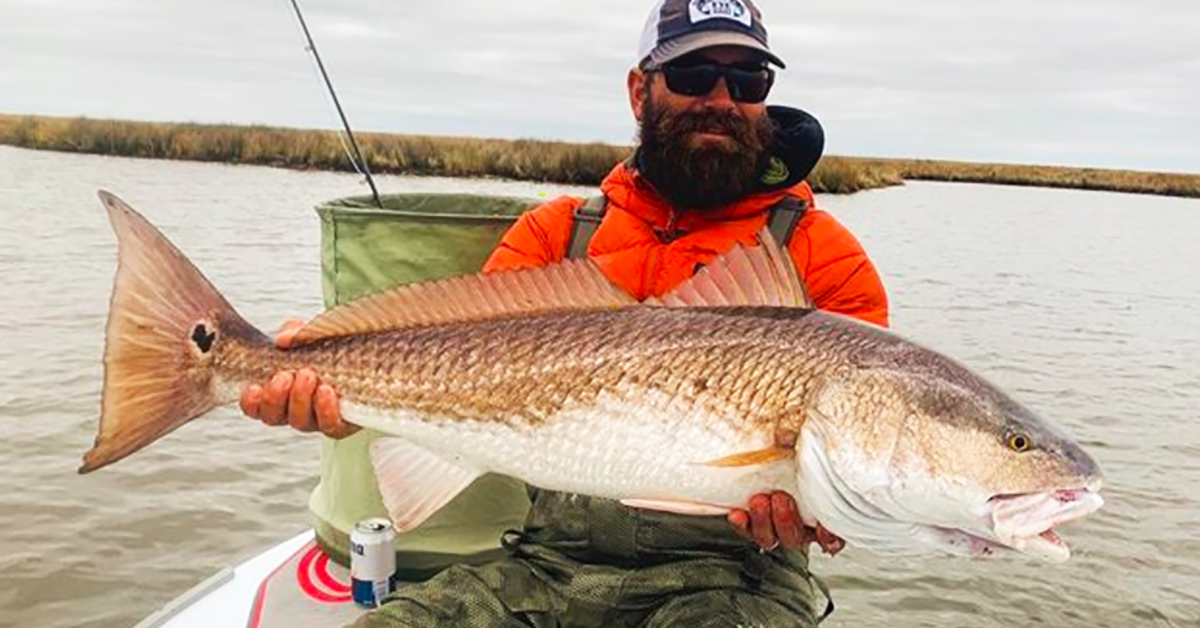 http://atlantic%20redfish