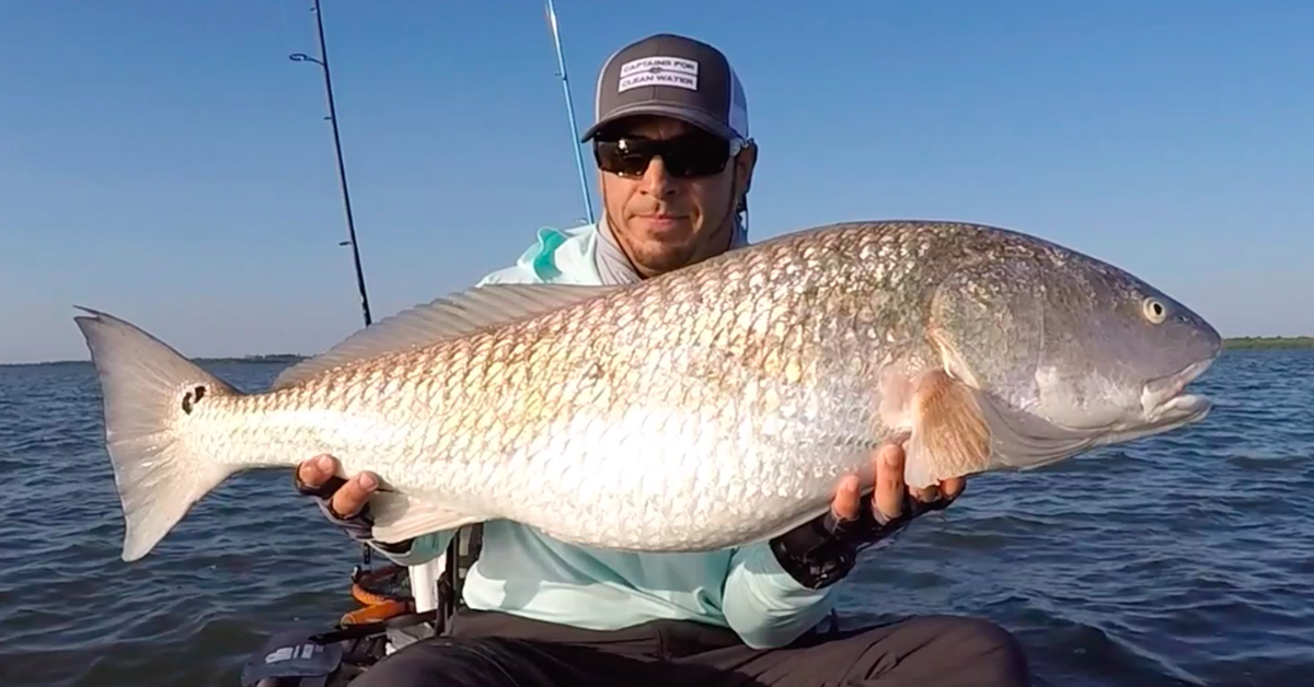 http://how%20to%20catch%20bull%20redfish
