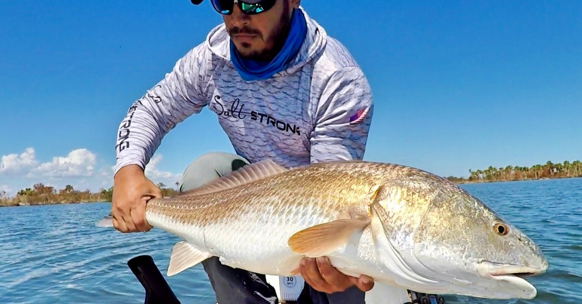 http://bull%20redfish%20in%20the%20fall