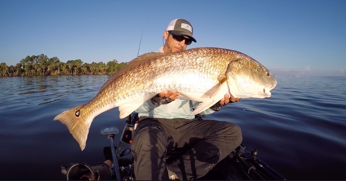 catching bull redfish