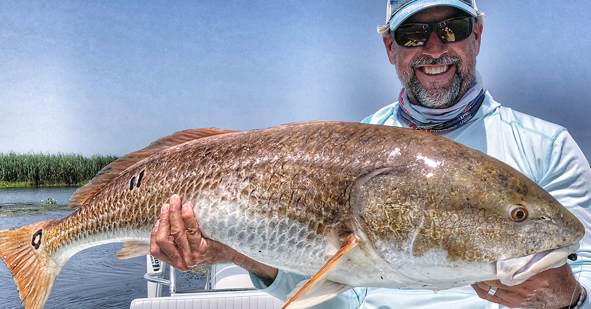 Louisiana florida redfish sight fishing