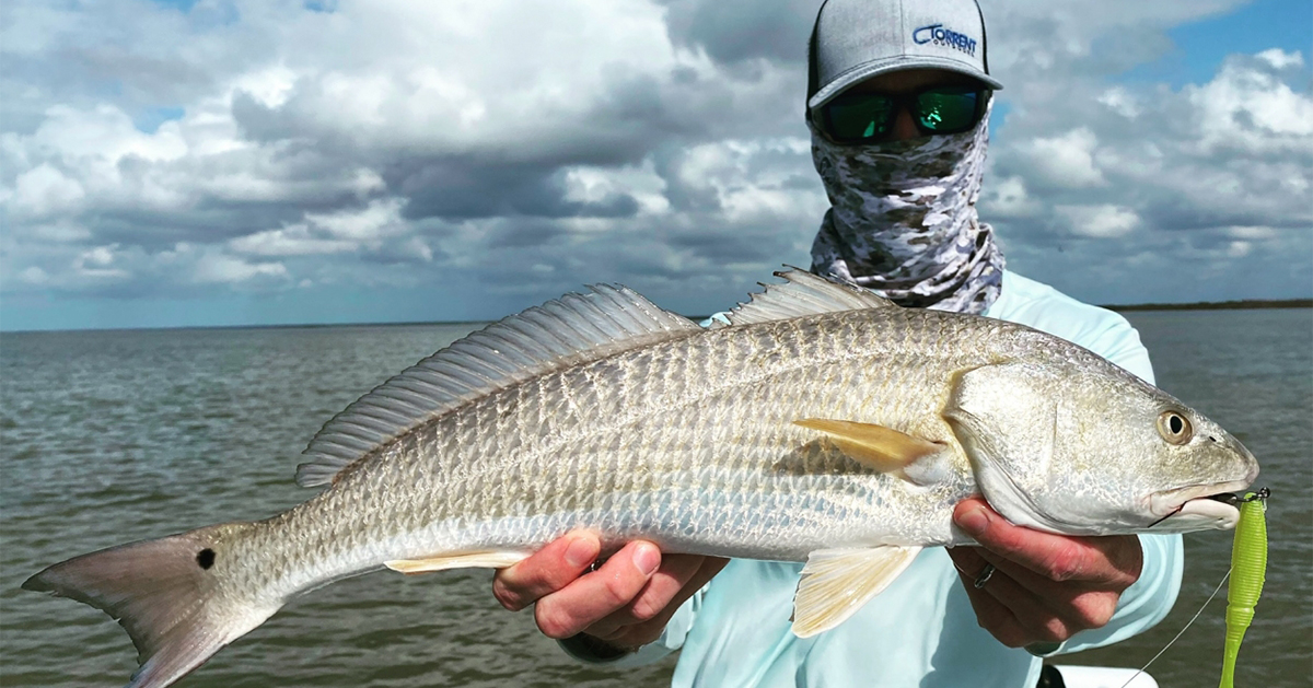 best saltwater fishing newsletter