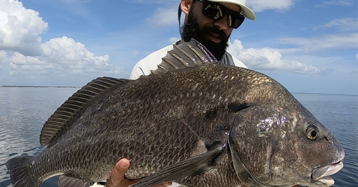 best saltwater fishing newsletter