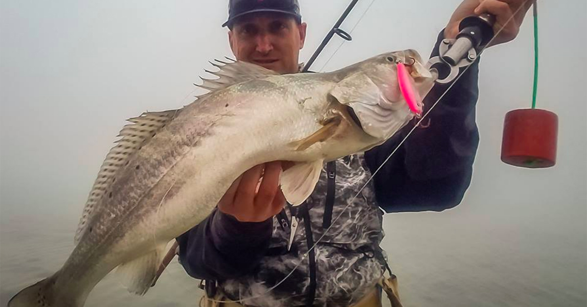 speckled truth dirty 30