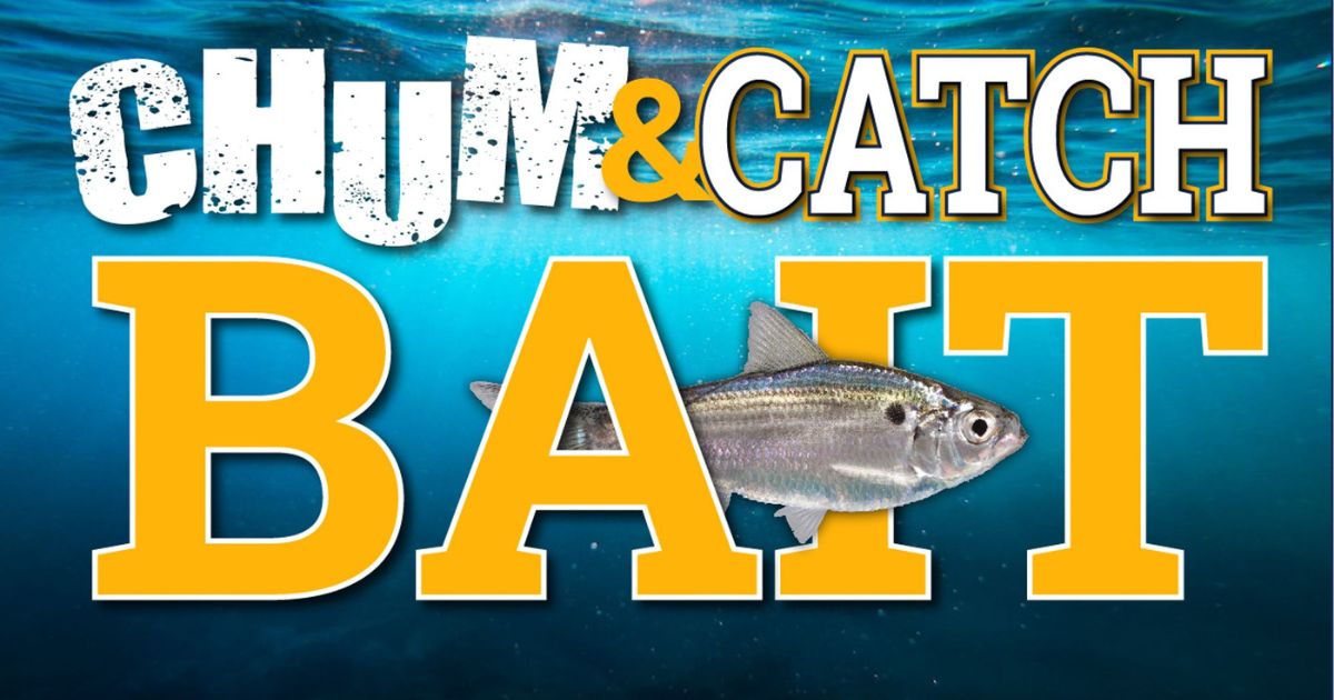 http://catch%20live%20bait%20using%20baitmasters%20chum