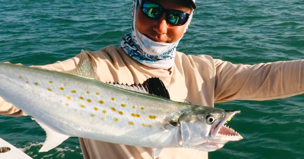 chumming for spanish mackerel