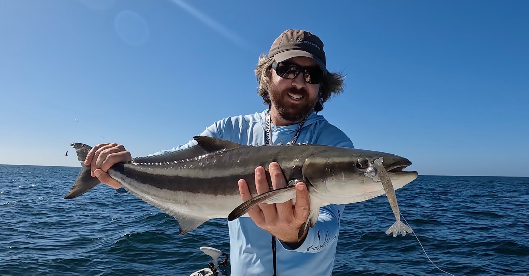 http://cobia%20on%20shrimp%20jig