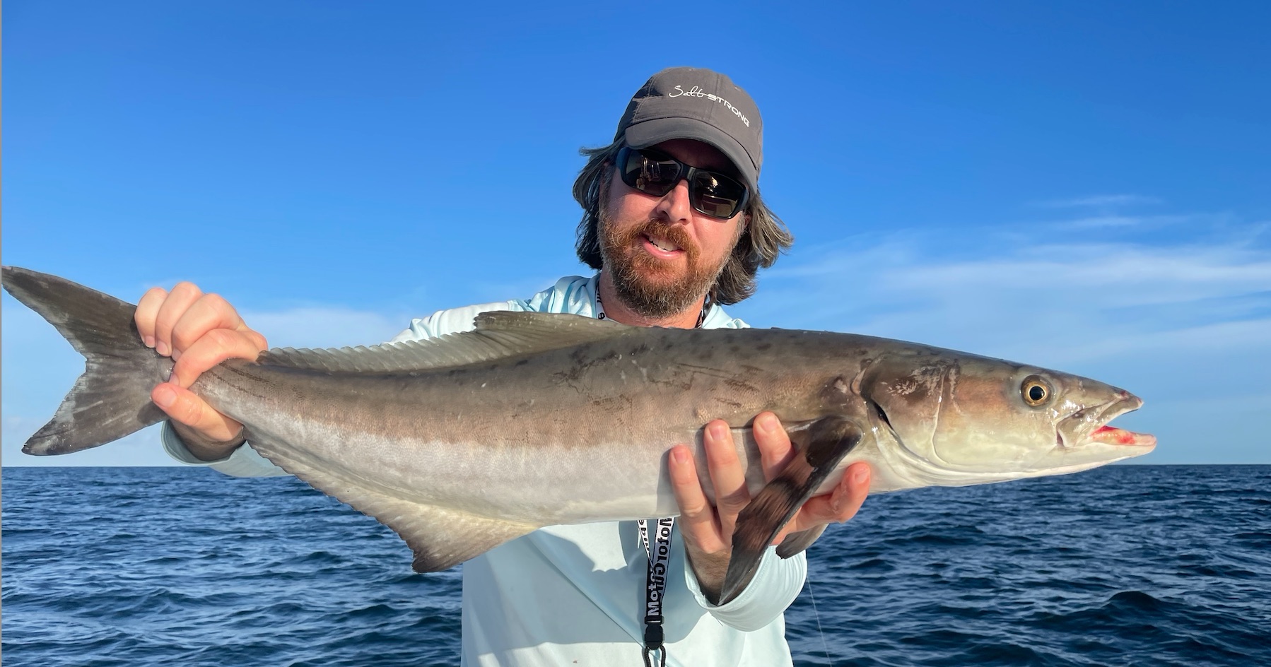 cobia shrimp jig