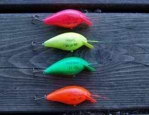 leaving a hook in a fish's mouth