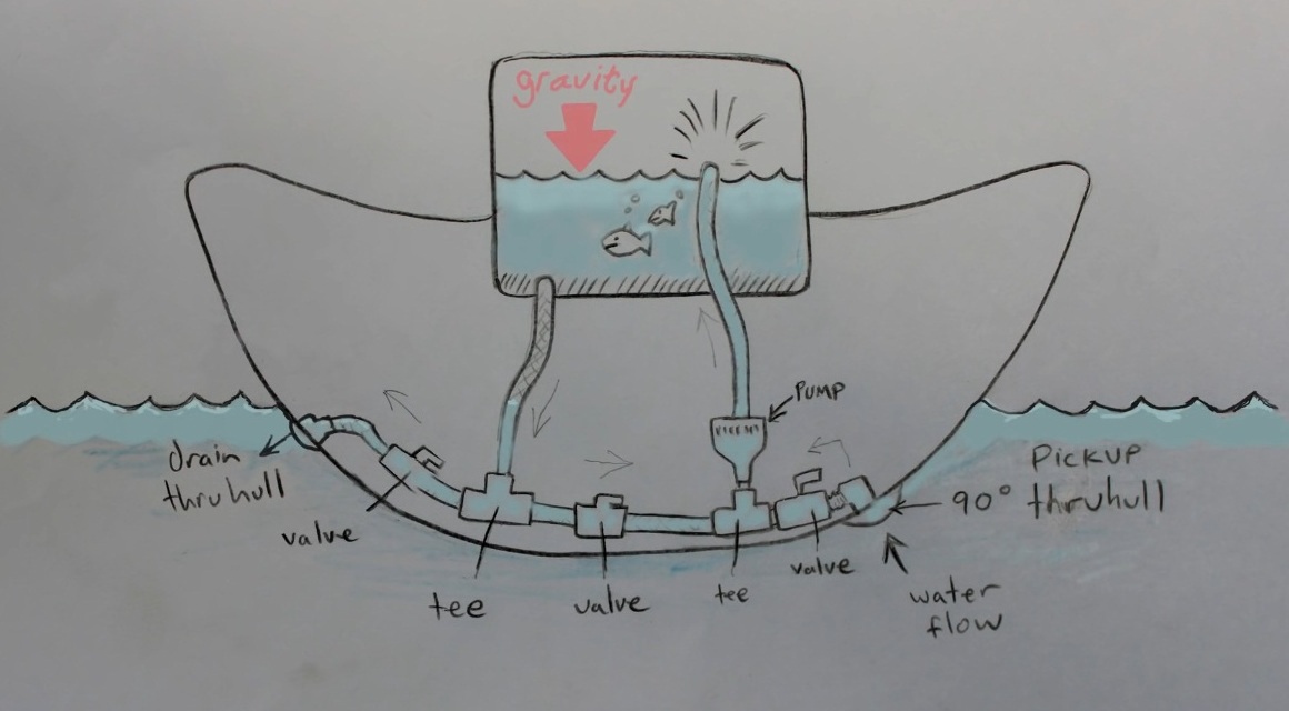 homemade kayak livewell