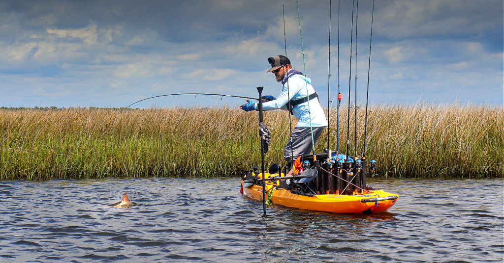 dodging rain and chasing fish