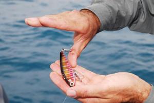 fish hook injury