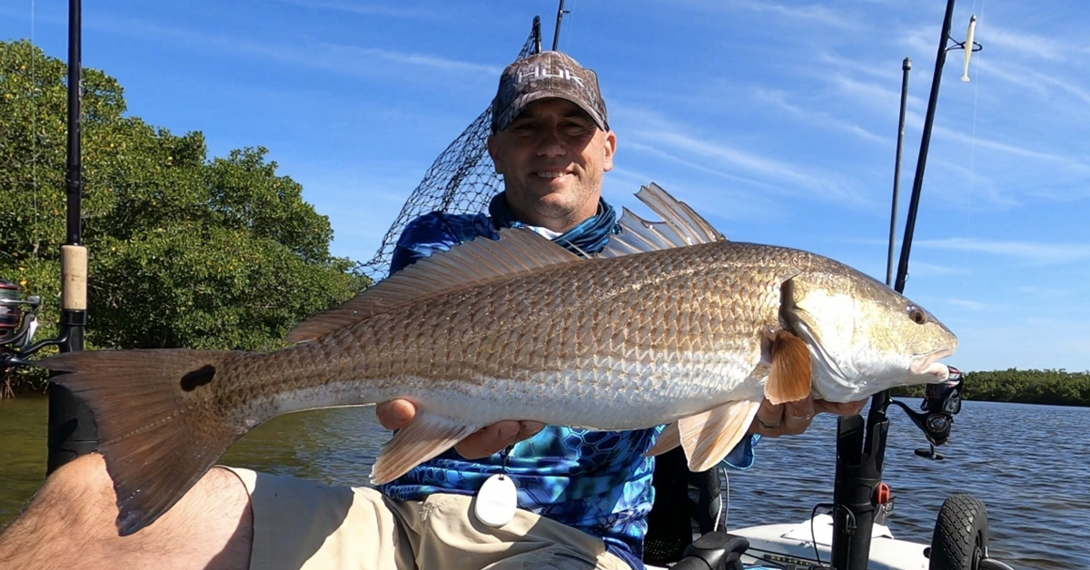 best saltwater fishing newsletter