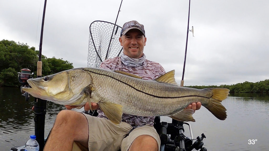 snook on paddletail in kayak