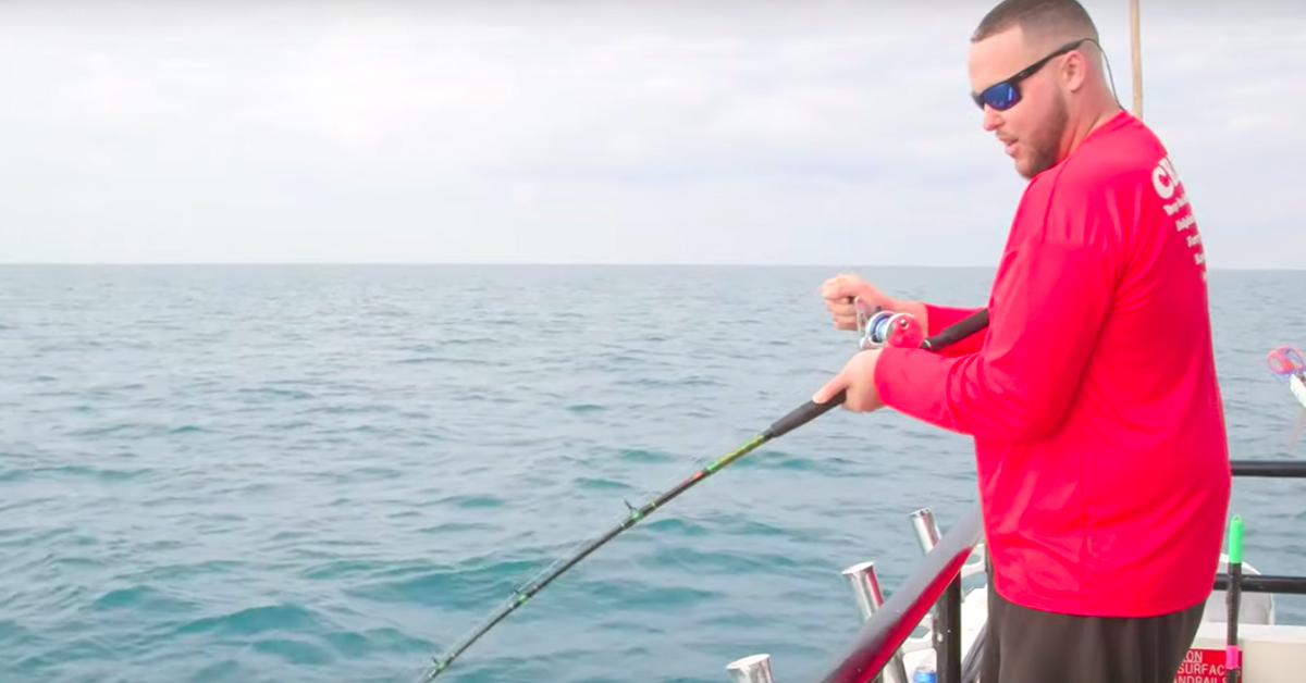 offshore mangrove snapper