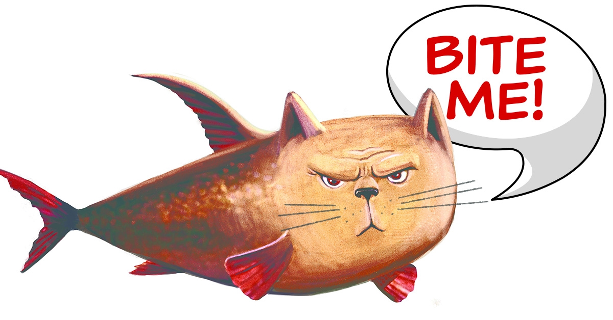 http://saltwater%20catfish%20bait