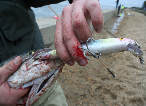 fishing hook stuck in finger