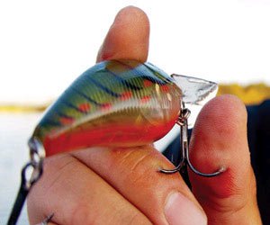 crankbait hook in hand