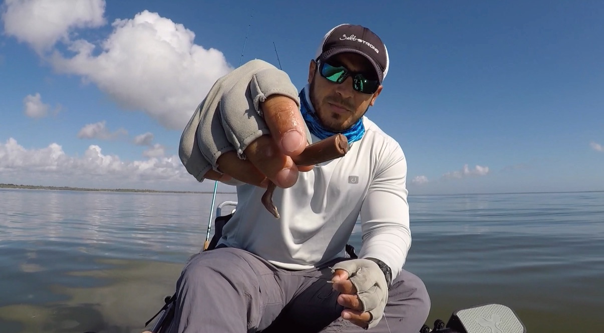 fishbites scented lures