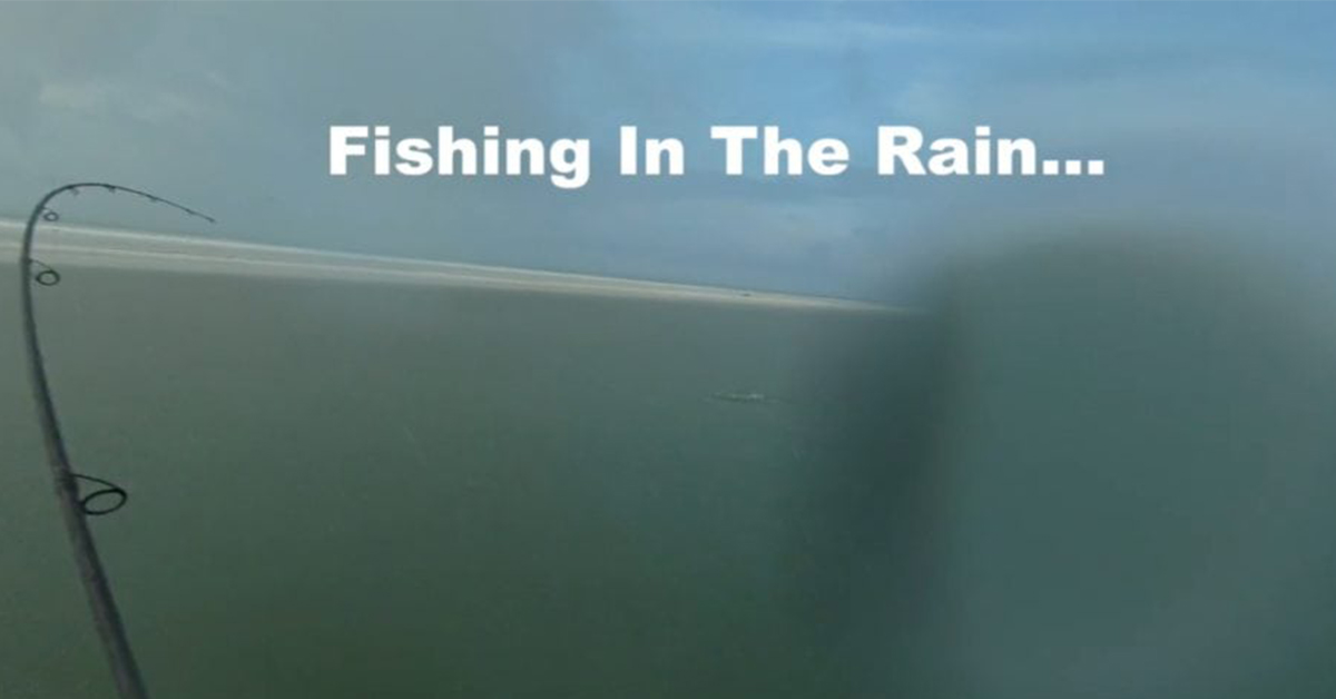 http://Fishing%20in%20the%20rain