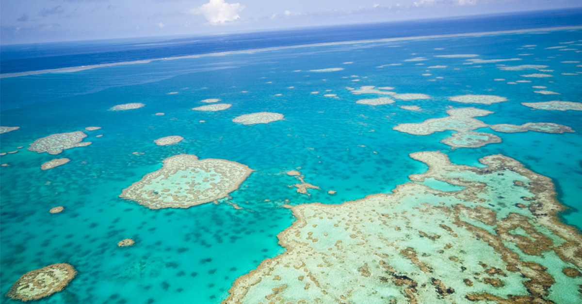 http://gps%20coordinates%20florida%20reefs