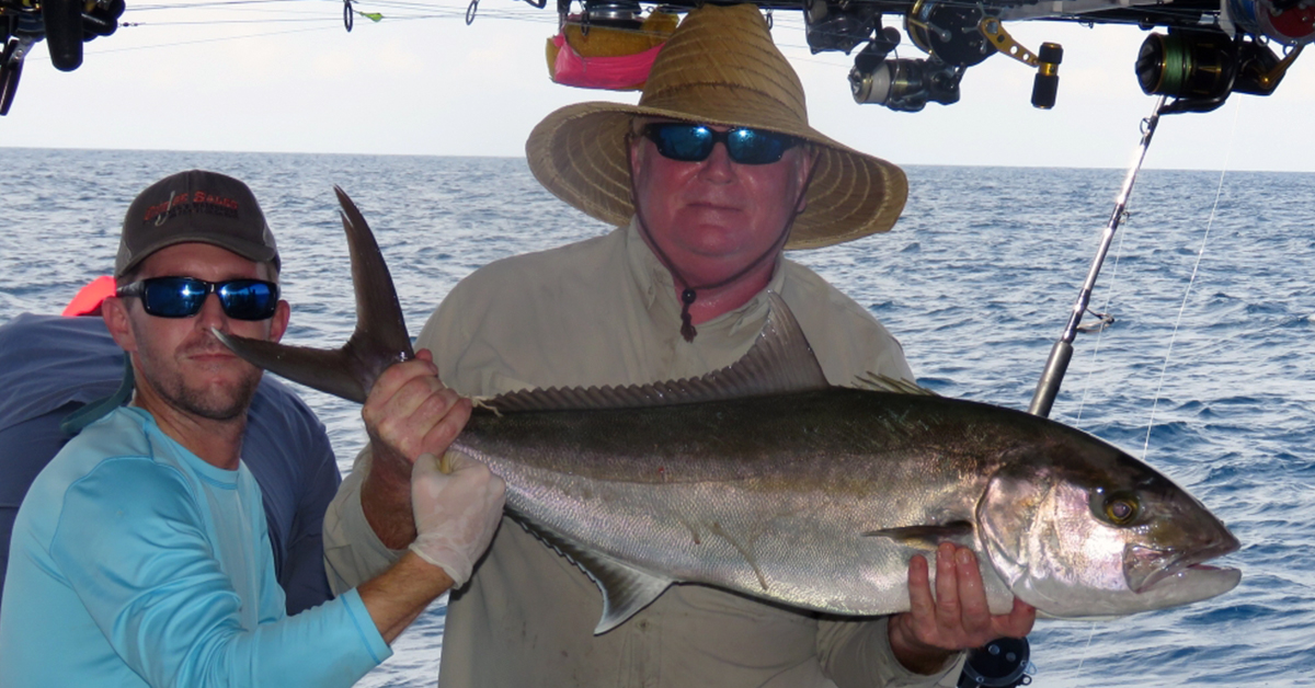 Georgia Artificial Reef Amberjack