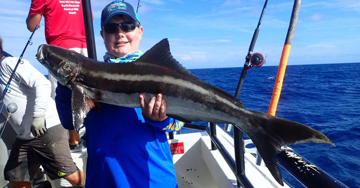 http://Georgia%20Artificial%20Reef%20Cobia