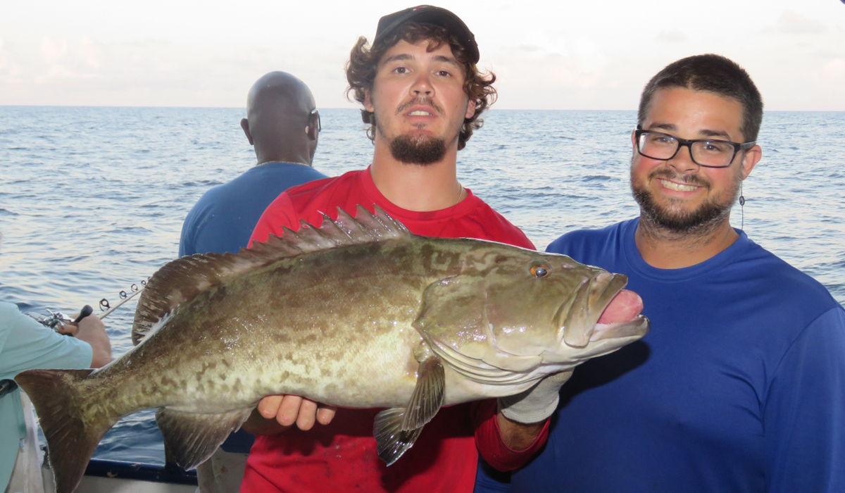 Georgia Artificial Reef Grouper