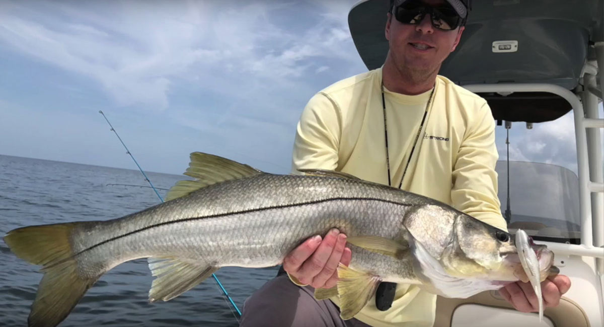 Temple Fork Outfitters GIS Pros