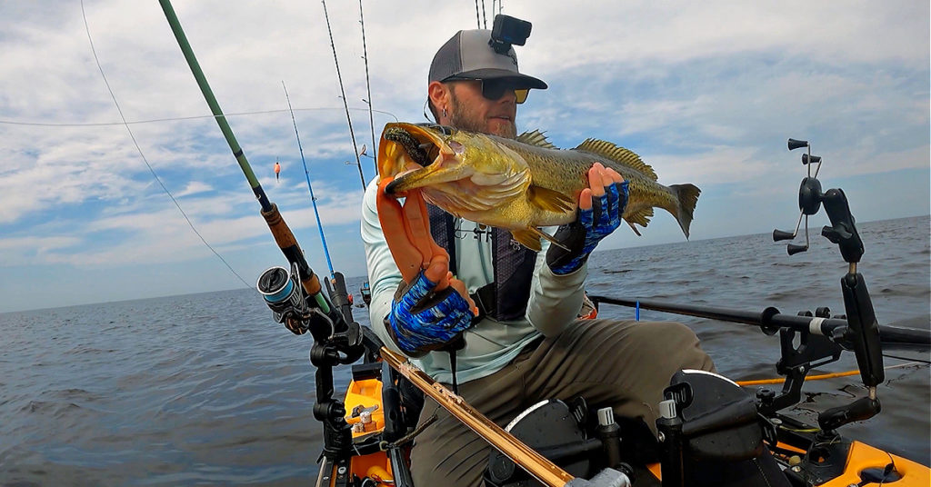 when to use the gold digger bomber