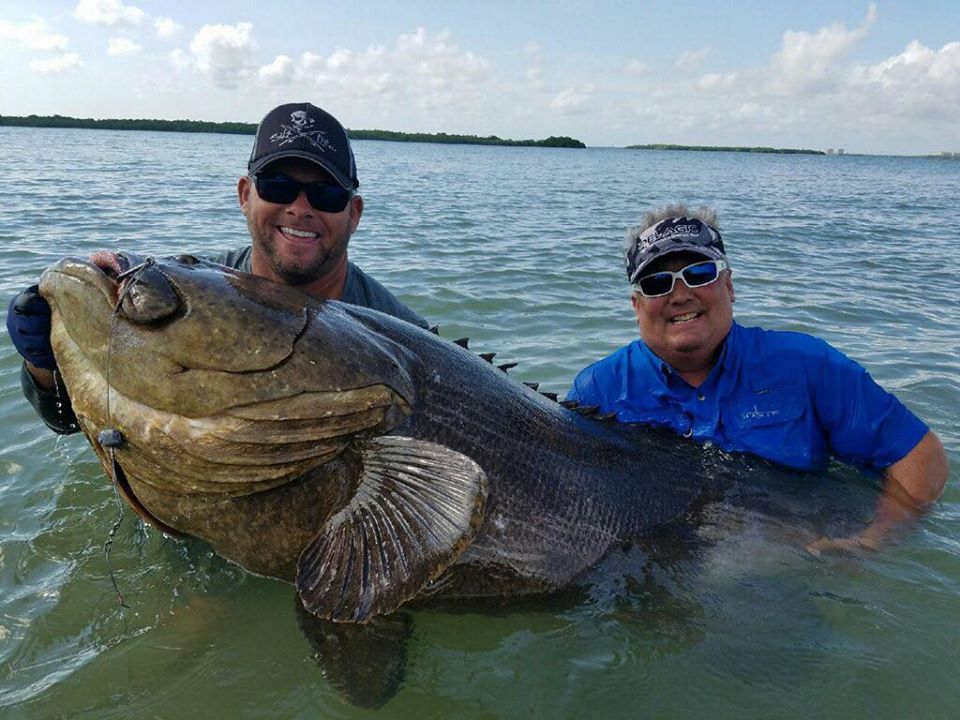 capt ben chancey grouper
