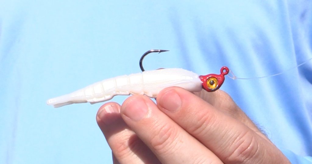 Gulp Shrimp jig