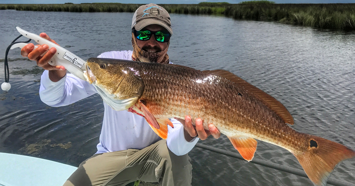 http://Alabama%20Fish%20Hatchery%20Redfish